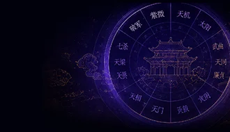 紫微命盘排盘功能